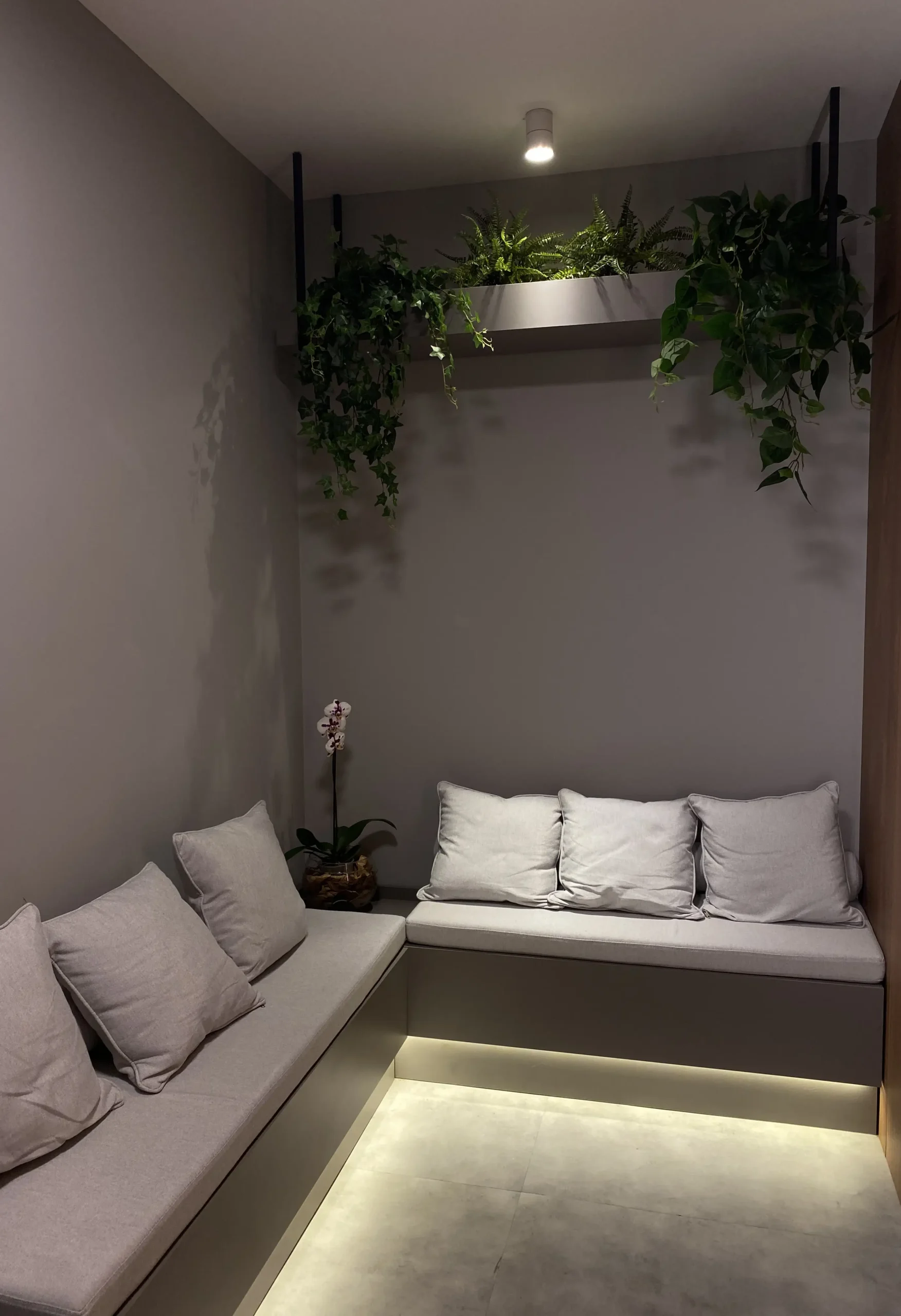 IMG_5509 (1) - Copia